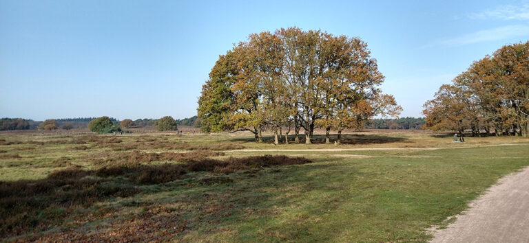 slider-elke pagina-2